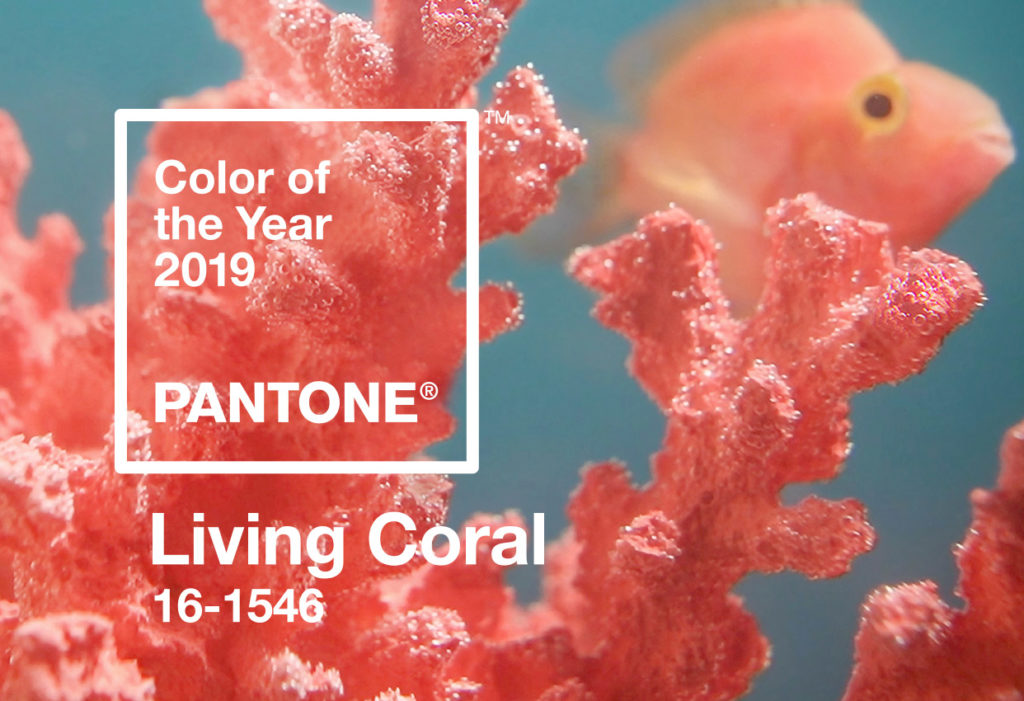 Photo from Pantone.com